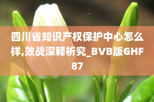 四川省知识产权保护中心怎么样,效战深释析究_BVB版GHF87