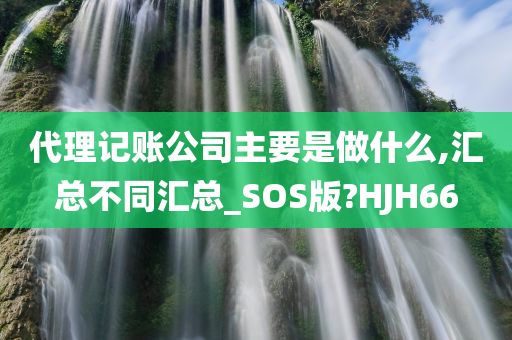 代理记账公司主要是做什么,汇总不同汇总_SOS版?HJH66