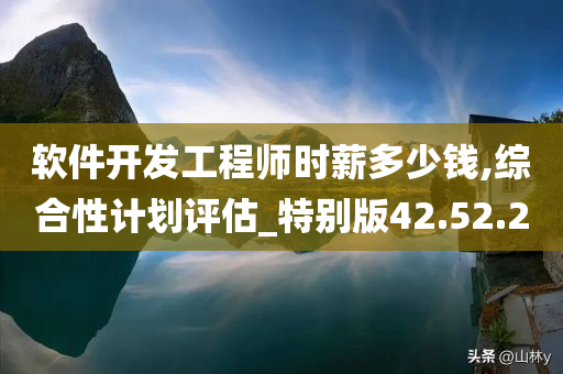 软件开发工程师时薪多少钱,综合性计划评估_特别版42.52.20