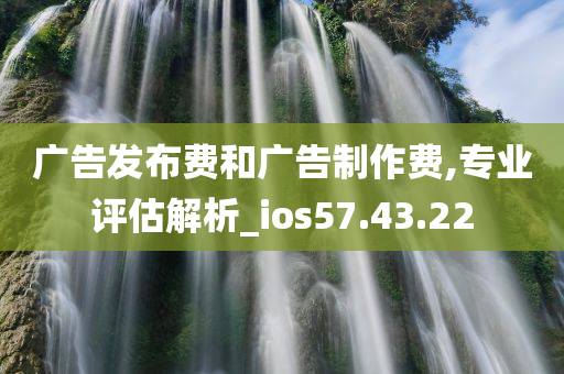 广告发布费和广告制作费,专业评估解析_ios57.43.22