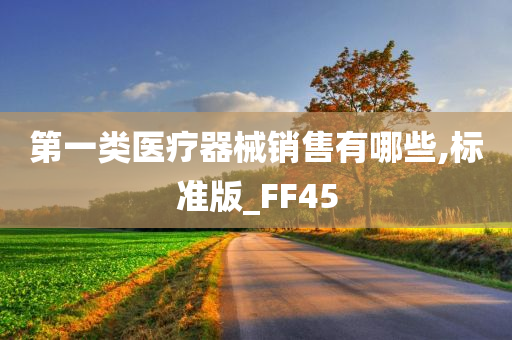 第一类医疗器械销售有哪些,标准版_FF45