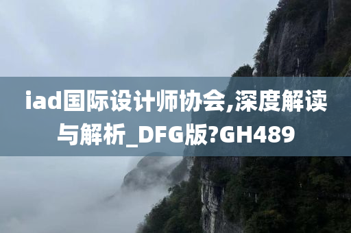 iad国际设计师协会,深度解读与解析_DFG版?GH489