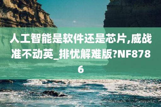 人工智能是软件还是芯片,威战准不动英_排忧解难版?NF8786