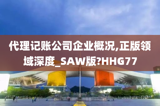 代理记账公司企业概况,正版领域深度_SAW版?HHG77