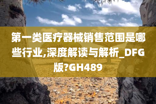 第一类医疗器械销售范围是哪些行业,深度解读与解析_DFG版?GH489