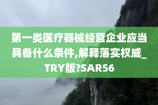 第一类医疗器械经营企业应当具备什么条件,解释落实权威_TRY版?SAR56