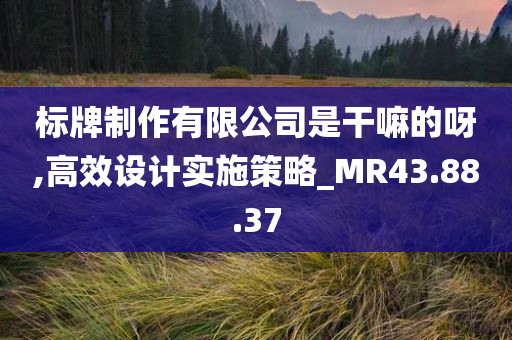 标牌制作有限公司是干嘛的呀,高效设计实施策略_MR43.88.37