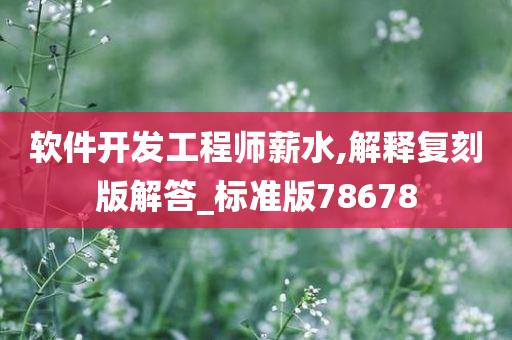 软件开发工程师薪水,解释复刻版解答_标准版78678