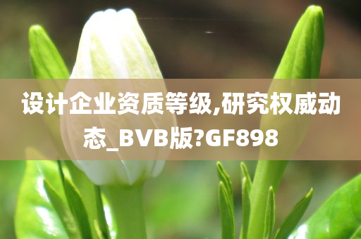 设计企业资质等级,研究权威动态_BVB版?GF898