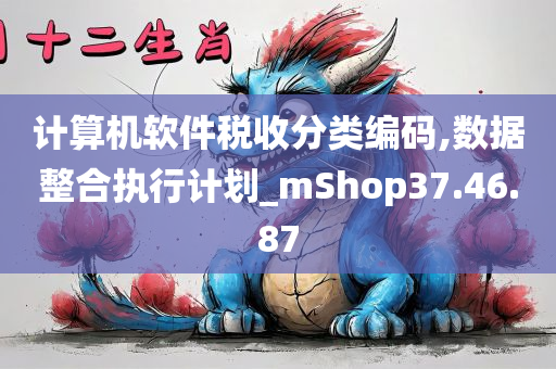 计算机软件税收分类编码,数据整合执行计划_mShop37.46.87