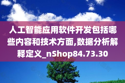 人工智能应用软件开发包括哪些内容和技术方面,数据分析解释定义_nShop84.73.30