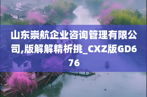 山东崇航企业咨询管理有限公司,版解解精析挑_CXZ版GD676