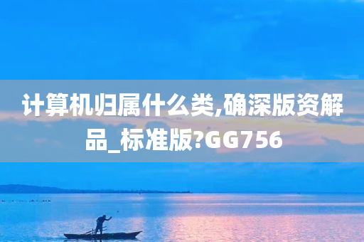 计算机归属什么类,确深版资解品_标准版?GG756