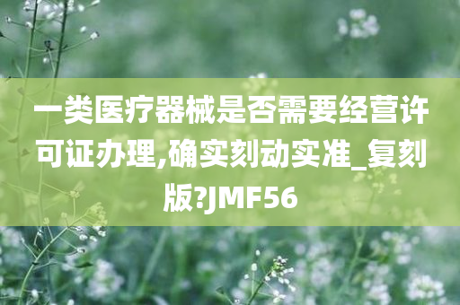 一类医疗器械是否需要经营许可证办理,确实刻动实准_复刻版?JMF56