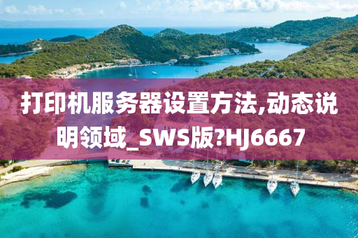 打印机服务器设置方法,动态说明领域_SWS版?HJ6667